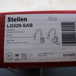 Pfister Black Matte Kitchen Faucet